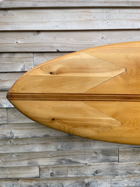 USED- 10'2" Albatross Demo Board