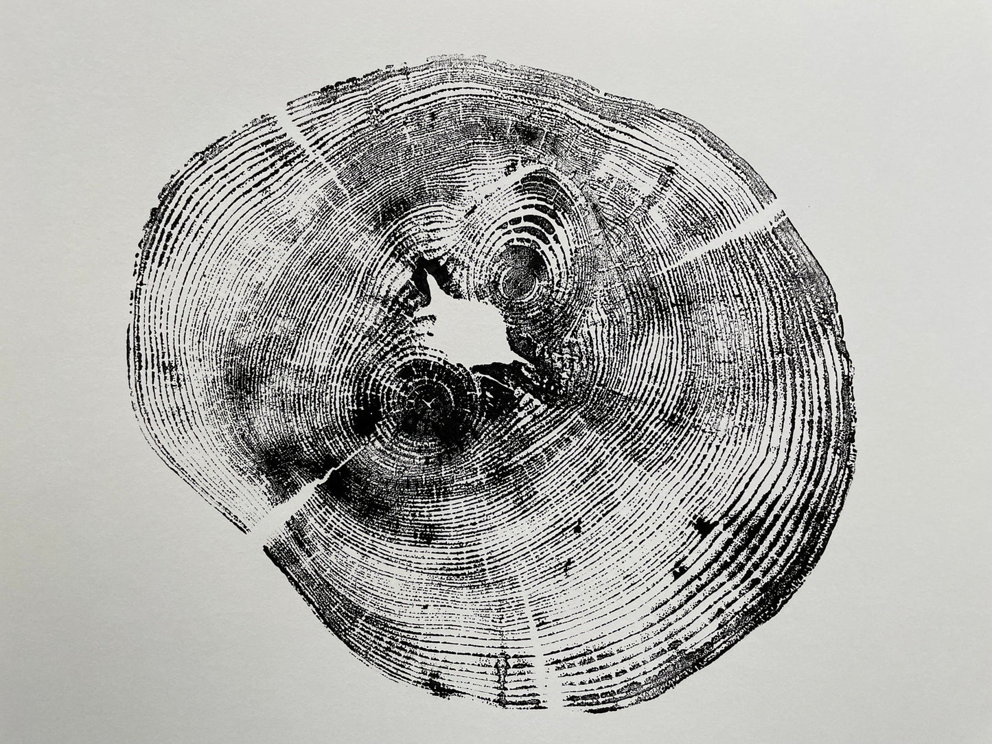 Stump Print Making Workshop