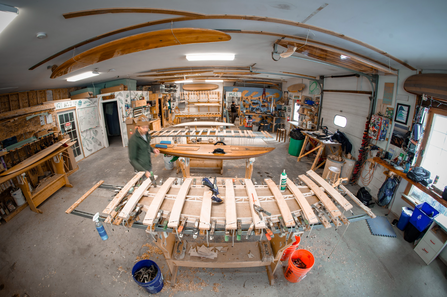 BioLogic Surfboards