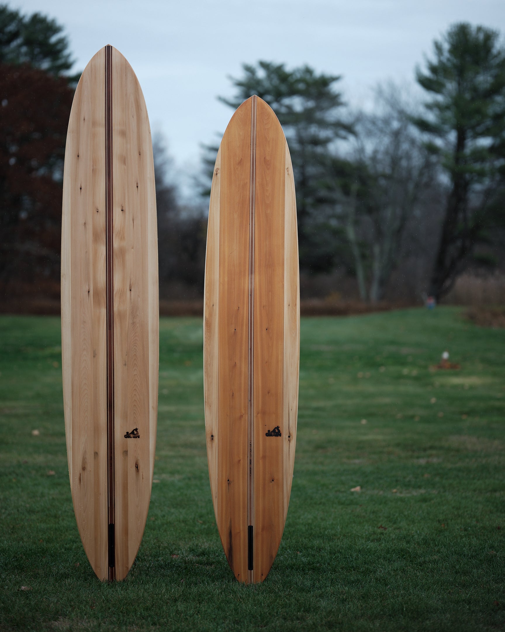 Wood grain deals surfboard