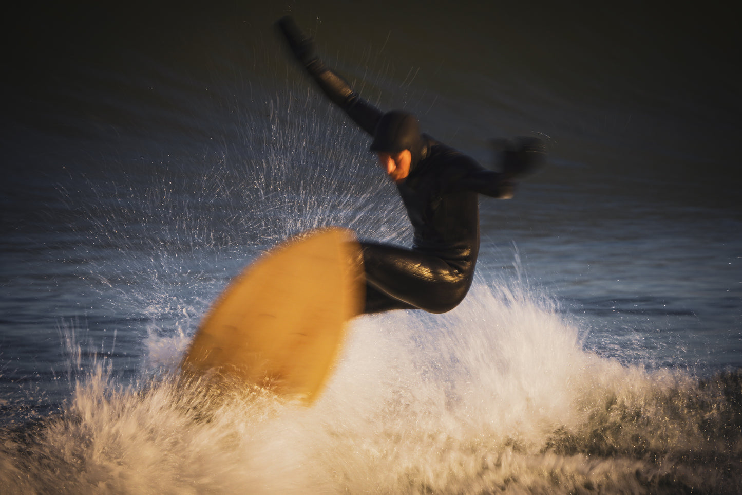 BioLogic Surfboards
