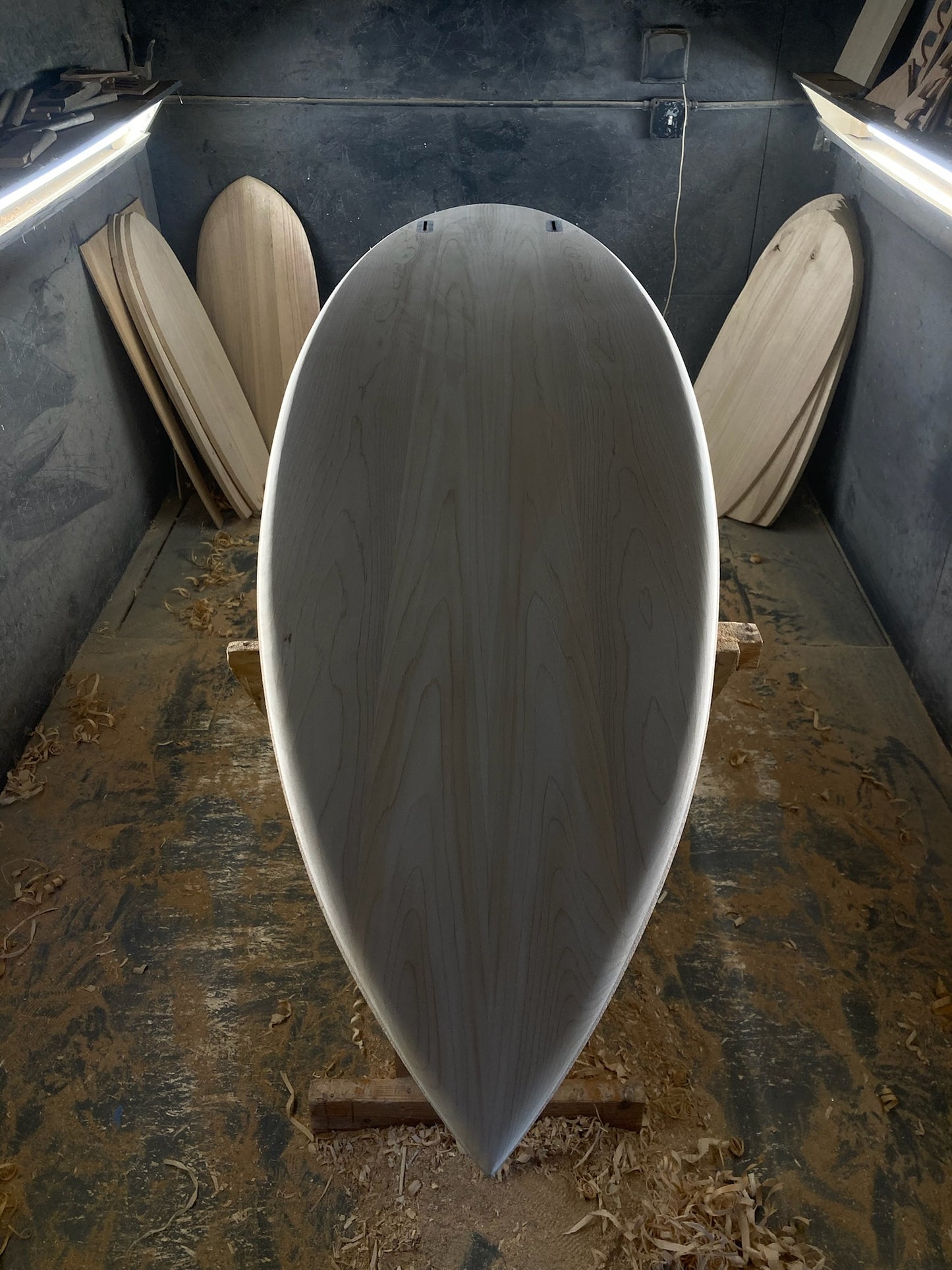 ALL NEW- Bio•Logic Surfboards