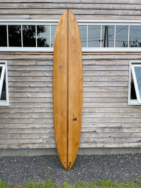 USED- 10'2" Albatross Demo Board