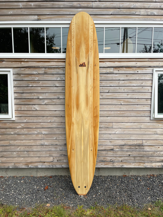 NEW- 10' Waterlog GreenRail