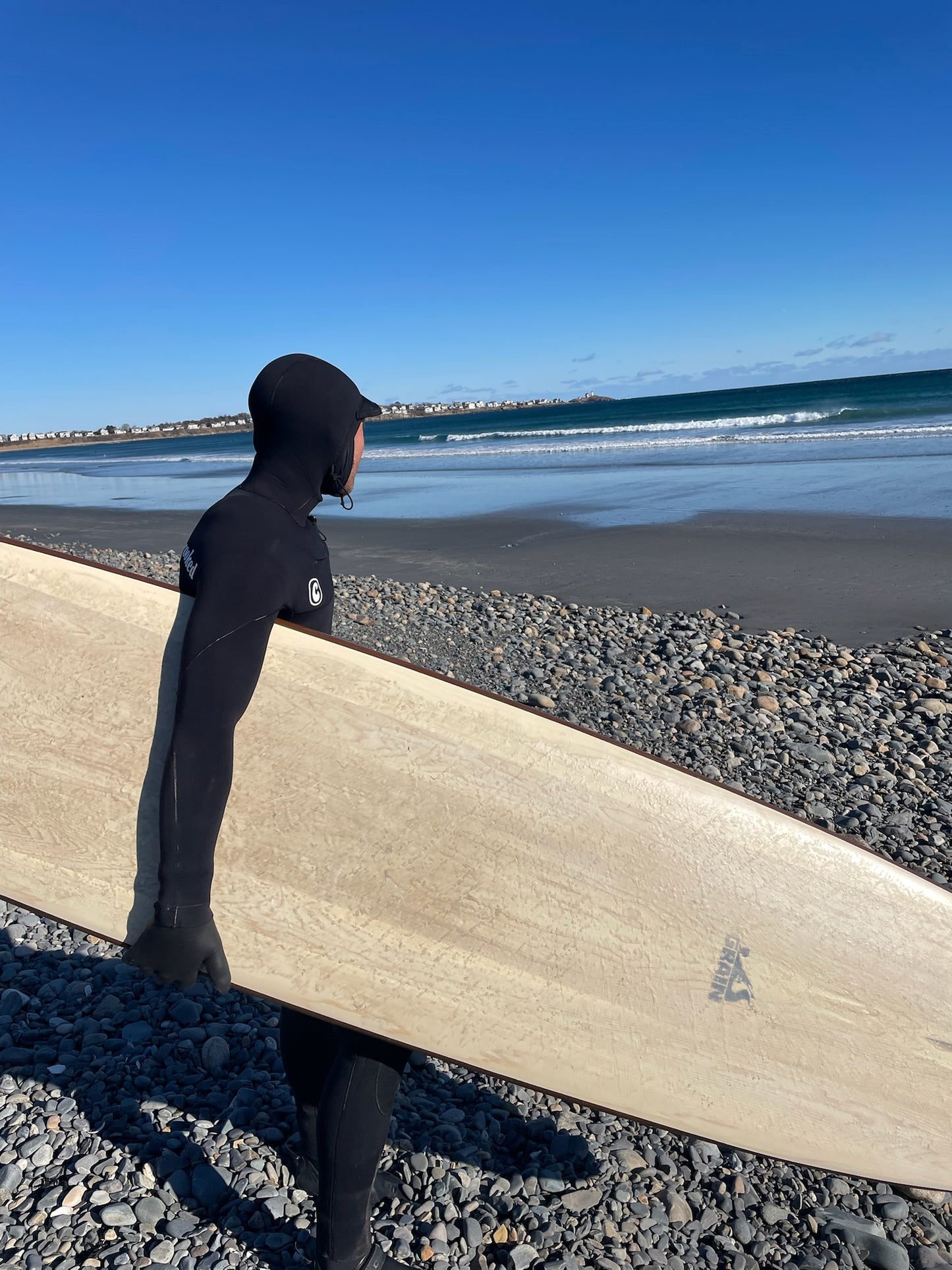 ALL NEW- Bio•Logic Surfboards