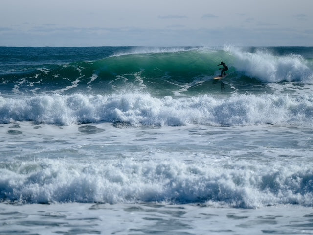 Grain Surfboards BioLogic Surfboard - Thumbnail 4