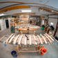 BioLogic Surfboards